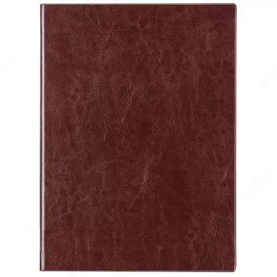 Ежедневник "Deli Concise" 270 х 195 мм, А4, 100 листов (Арт. - 3306-br)