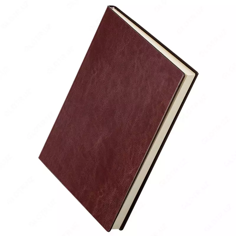 Ежедневник "Deli Concise" 270 х 195 мм, А4, 100 листов (Арт. - 3306-br)