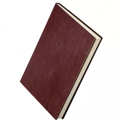 Ежедневник "Deli Concise" 270 х 195 мм, А4, 100 листов (Арт. - 3306-br)