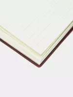 Ежедневник "Deli Concise" 205 х 143 мм