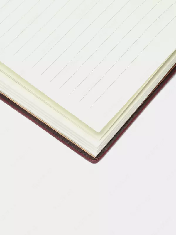 Ежедневник "Deli Concise" 205 х 143 мм, А5, 160 листов (Арт. - 3186-br)