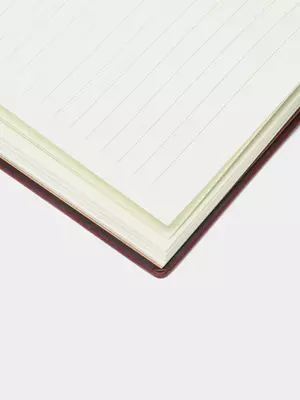 Ежедневник "Deli Concise" 205 х 143 мм, А5, 160 листов (Арт. - 3186-br)