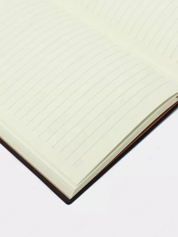 Ежедневник "Deli Concise" 205 х 143 мм, А5, 160 листов (Арт. - 3186-bk)