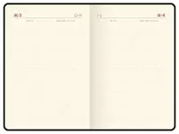 Ежедневник "Berlingo Radiance" 210 х 143 мм