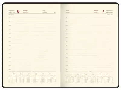 Ежедневник "Berlingo Radiance" 210 х 143 мм, А5, 184 листа (Арт. - DD1_93501) Распродажа!