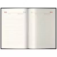 Ежедневник "Delucci" 175 х 250 мм