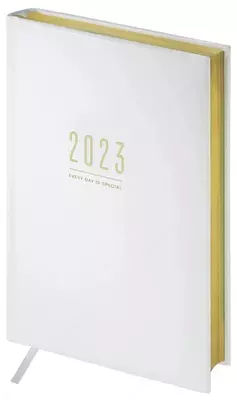 Ежедневник OfficeSpace "Dallas" 205 х 145 мм, А5, 176 листов (Арт. - Ed5_44912)