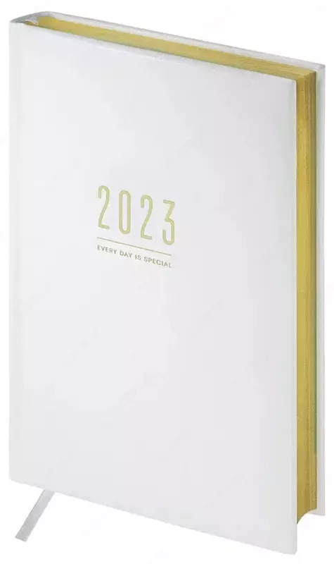 Ежедневник OfficeSpace "Dallas" 205 х 145 мм, А5, 176 листов (Арт. - Ed5_44912)