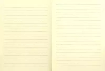 Ежедневник Феникс + "Дикая кошка" 168 х 121 мм, А6+, 320 листов (Арт. - 42587)