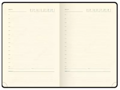 Ежедневник "Berlingo Radiance" 210 х 143 мм, А5, 136 листов (Арт. - UD0_93503)