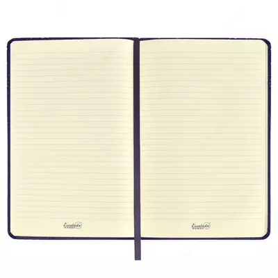 Ежедневник Феникс+ "Сариф" 211 х 146 мм, А5, 160 листов (Арт. - 47581)