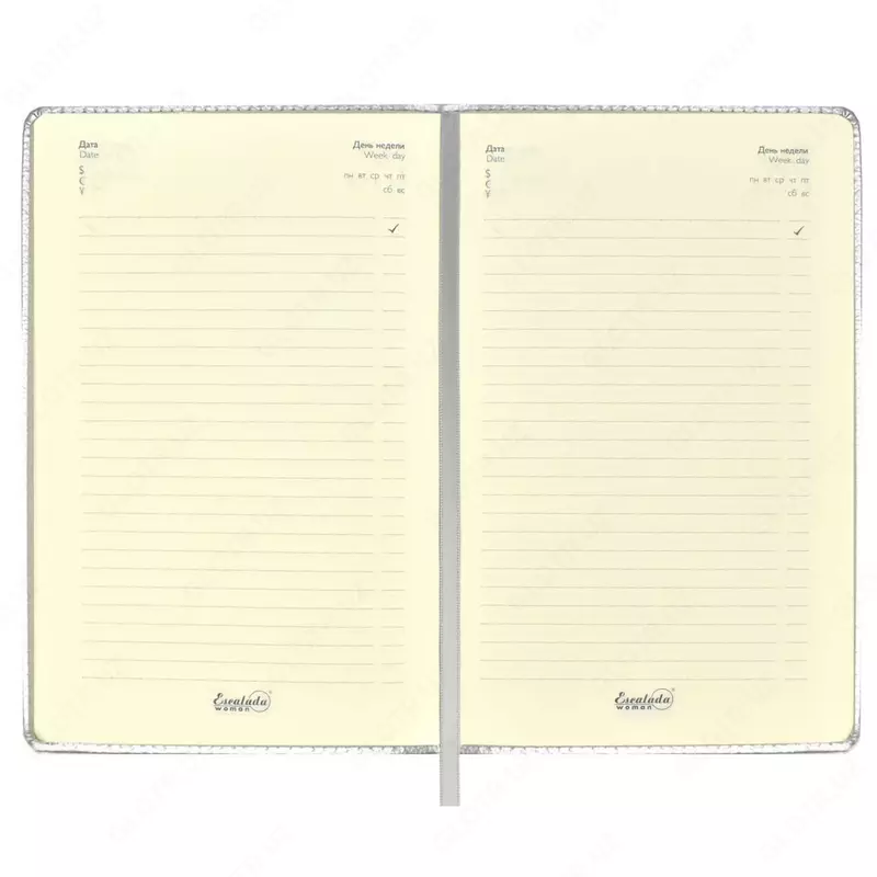 Ежедневник Феникс+ "Диари" 211х 146 мм, А5, 160 листов (Арт. - 50459)