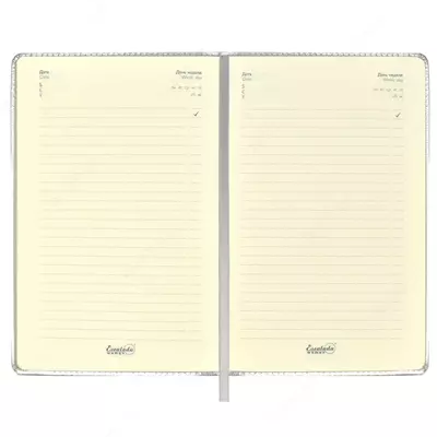 Ежедневник Феникс+ "Диари" 211х 146 мм, А5, 160 листов (Арт. - 50459)