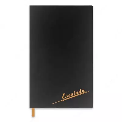 Feniks kundaligi + "Soft-Touch" 210 x 132 mm, A5, 96 varaq (Art. - 47473)