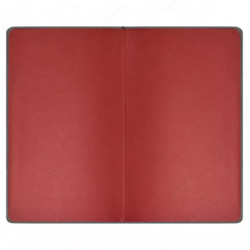 Feniks kundaligi + "Nappa" 210 x 132 mm, A5, 96 varaq (Art. - 47467)