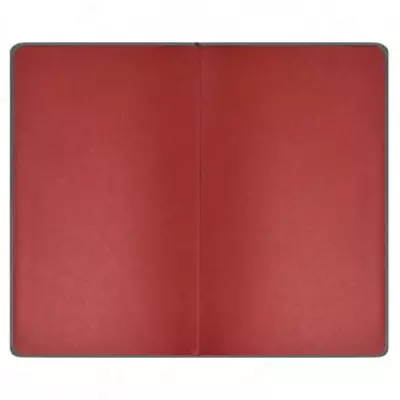 Feniks kundaligi + "Nappa" 210 x 132 mm, A5, 96 varaq (Art. - 47467)