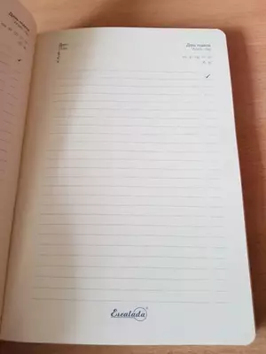 Ежедневник Феникс+ "Миррэр" 211 х 146 мм, А5, 120 листов (Арт. - 47611)