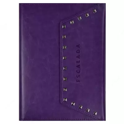 Ежедневник-органайзер Феникс+ "Eskalada" 235 x 170 мм, А5+, 96 листов (Арт. - 47407)