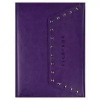 Ежедневник-органайзер Феникс+ "Eskalada" 235 x 170 мм