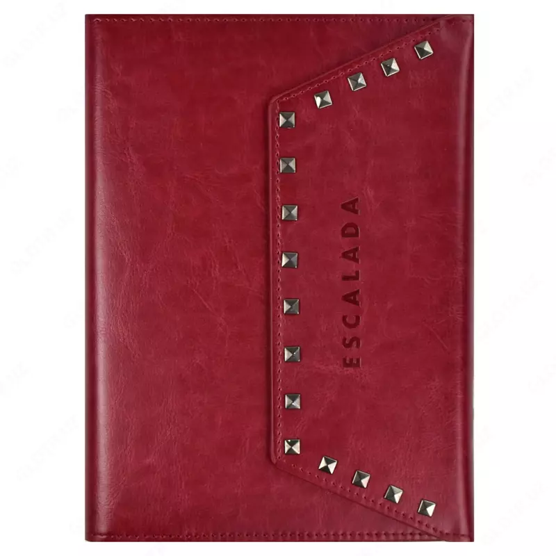 Ежедневник-органайзер Феникс+ "Eskalada" 235 x 170 мм, А5+, 96 листов (Арт. - 47405)