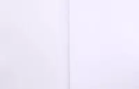 96 л. (Арт. - RSR120) - 25 000 сум