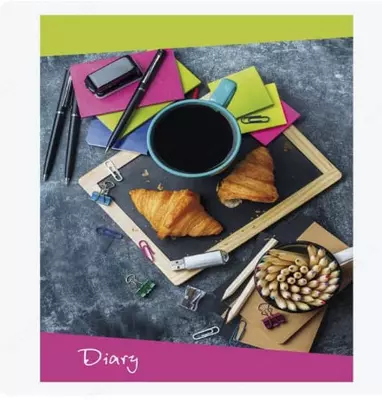 Записная книжка "Феникс+ "Diary" А6+, 120 х 170 мм, 96 л. (Арт. - 45751)