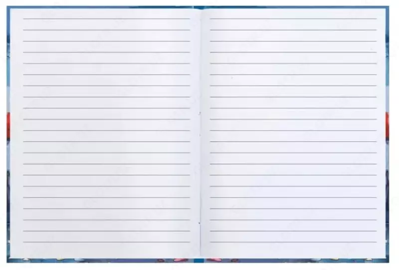 Записная книжка "Феникс+ "Notebook Волшебный город" А6+, 117 х 151 мм, 48 л. (Арт. - 48114)