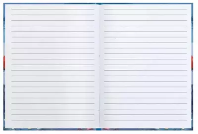 Записная книжка  Записная книжка "Феникс+ "Notebook Волшебный город" А6+, 117 х 151 мм, 48 л. (Арт. - 48114)