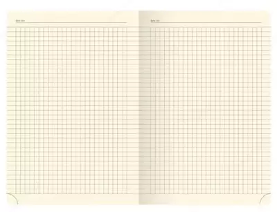 Записная книжка Berlingo "Radiance" А5, 210 х 143 мм, 80 л. (Арт. - NB0_93502)