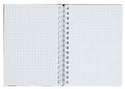 Записная книжка BG "Pop art" А6, 103 х 142 мм, 80 л. (Арт. - ЗКТ6гр80_лг_8328) Ассортимент