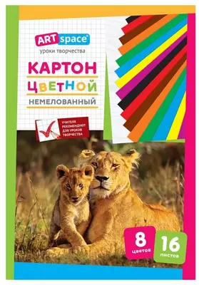 Немелованный цветной картон ArtSpace, A4, 16 листов, 8 цв. (Арт. - Нкн16-8_6961) Немелованный цветной картон ArtSpace, A4, 16 листов, 8 цв. (Арт. - Нкн16-8_6961)
