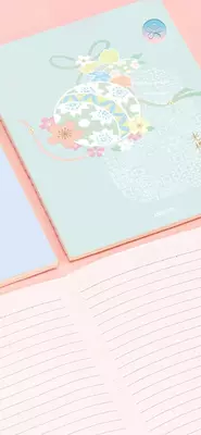 Записная книжка "Deli" А5, 280 х 330 мм, 40 л. (Арт. - 540-FA-little) Ассортимент