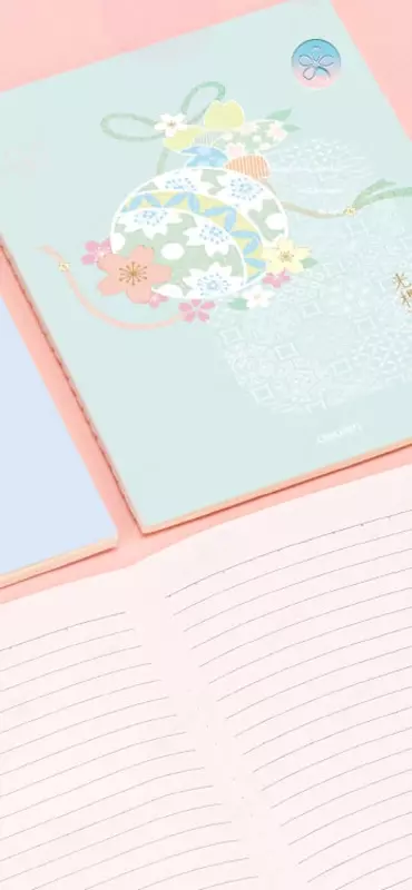 Записная книжка "Deli" А5, 280 х 330 мм, 40 л. (Арт. - 540-FA-little) Ассортимент