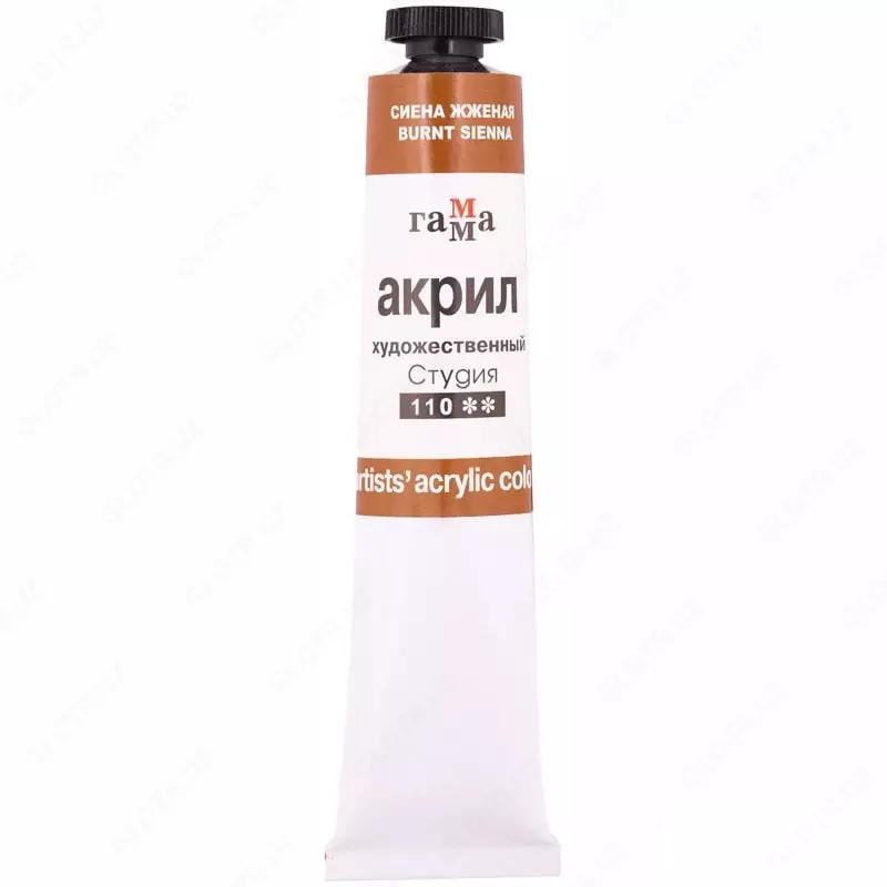 Художественная акриловая краска Гамма "Студия" туба 46 мл. (Арт. - 0.40.А046.110) Сиена жженая