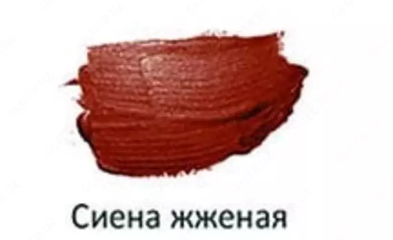 Badiiy akril bo'yoq Gamma "Studio" trubkasi 75 ml. (m. - 280220110) Kuygan siena