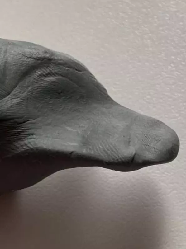 "DELI Nuevo" tuzatish o'chirgichi (Ref. - 02610-EH) Kulrang