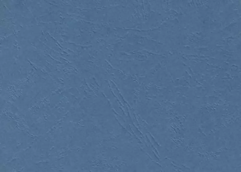 Набор Обложек для переплета "Bindi Leather", картонная (Арт.- 210-LClbl) Синий