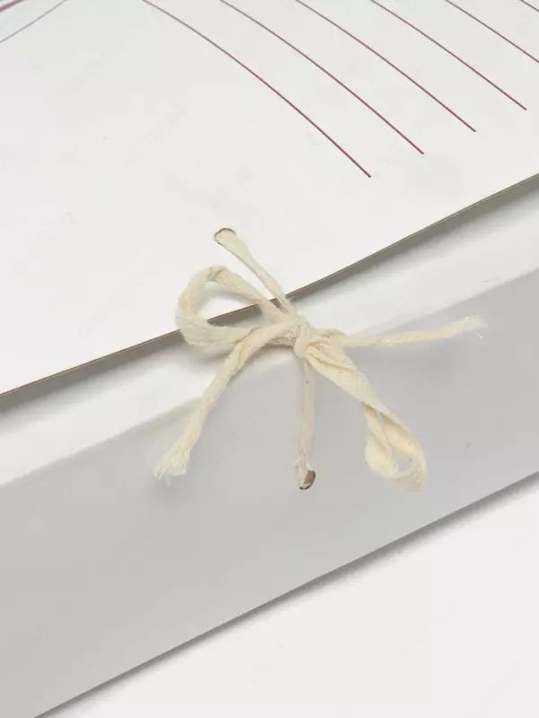 Arxiv papkasi, A4 formati (8 sm)