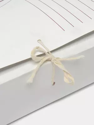 Архивная папка, формат А4 (8 см) Арт. - Папка-арх8