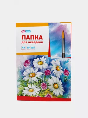 Папка для акварели АrtSpace "Ромашки" А3, 10 листов (Арт.- Па10А3_019)