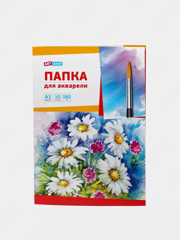 Папка для акварели АrtSpace "Ромашки" А3, 10 листов (Арт.- Па10А3_019)