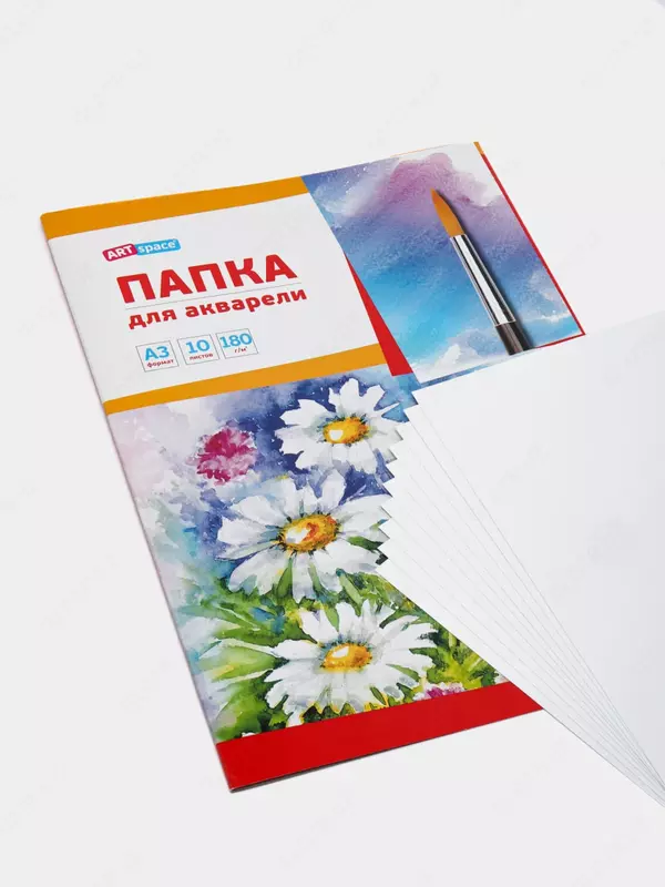 Папка для акварели АrtSpace "Ромашки" А3, 10 листов (Арт.- Па10А3_019)