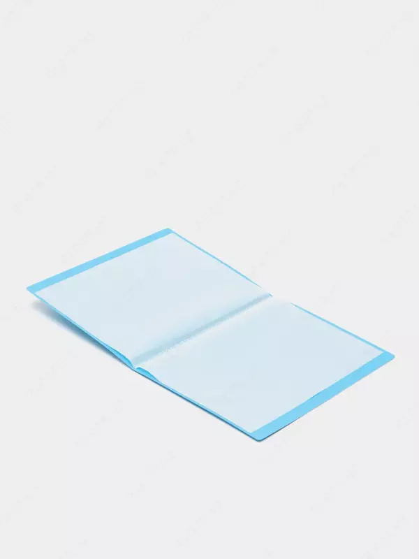 Папка для документов Deli "RIO" с 10 прозрачными вкладышами (Арт.- 5031) Ассортимент