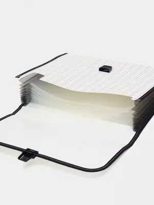 Папка- портфель "Deli" 12 отделений, застежка замок (Арт.- 38969)