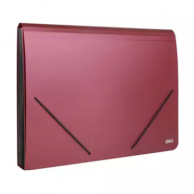 Папка- портфель "Deli" 12 отделений, застежка - резинки (Арт.- 5551) Ассортимент