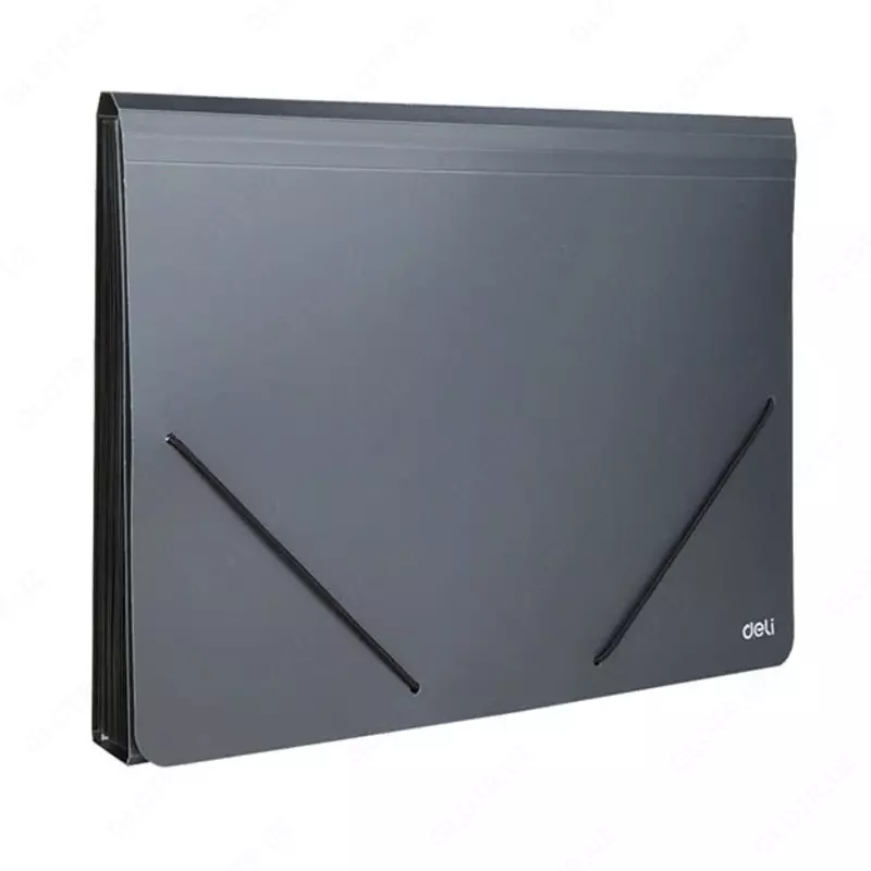 "Deli" portfeli 12 ta bo'lim, elastik mahkamlagich (5551-modda) Assortiment