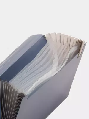 Папка- портфель "Deli" 12 отделений, застежка - резинки (Арт.- 5551) Ассортимент