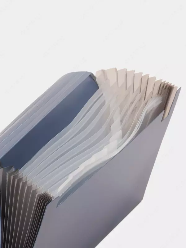 "Deli" portfeli 12 ta bo'lim, elastik mahkamlagich (5551-modda) Assortiment