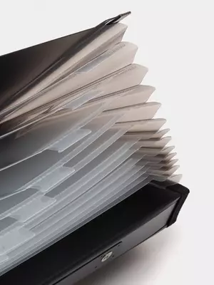 Папка- портфель с кармашком "Deli" 13 отделений, застежка замок (Арт.- 5231)