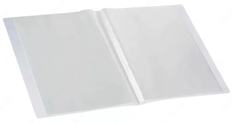 Папка для документов "Deli" с 20 прозрачными вкладышами (Арт.-5162) Прозрачная